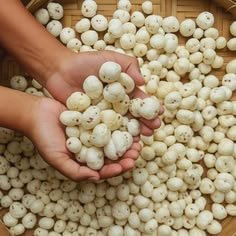 Raw Makhana